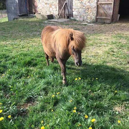 Maison De Charme Avec Jardin Aux Portes De Bagnoles - Fr-1-497-145 * La Chapelle d'Audaine