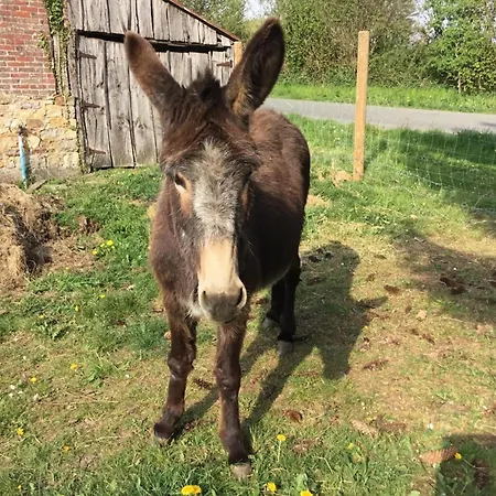 Maison De Charme Avec Jardin Aux Portes De Bagnoles - Fr-1-497-145 Feriehus La Chapelle d'Audaine
