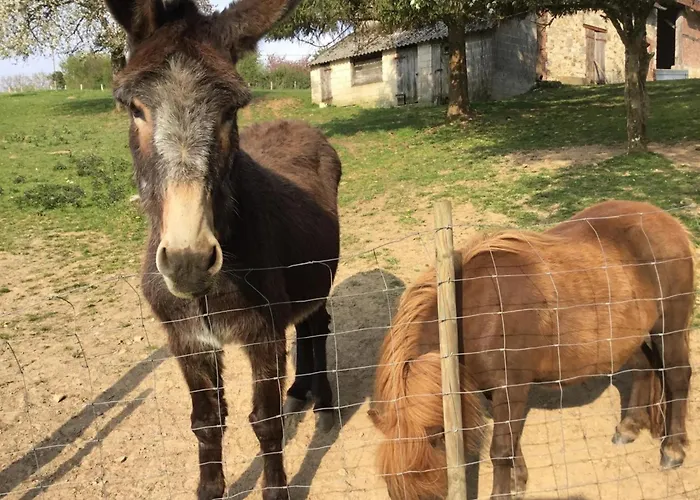 Maison De Charme Avec Jardin Aux Portes De Bagnoles - Fr-1-497-145 Casa vacanze *