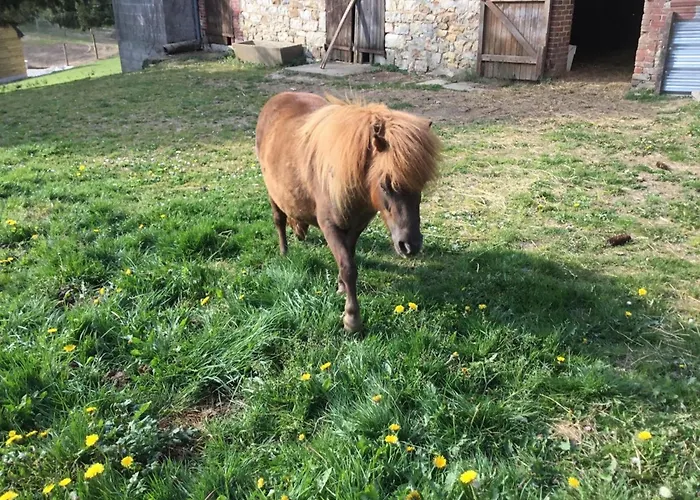 Maison De Charme Avec Jardin Aux Portes De Bagnoles - Fr-1-497-145 * La Chapelle d'Audaine