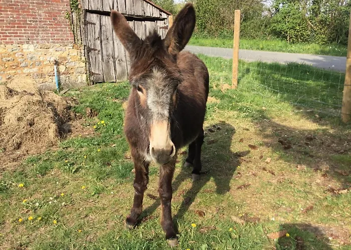 Maison De Charme Avec Jardin Aux Portes De Bagnoles - Fr-1-497-145 Casa vacanze La Chapelle d'Audaine